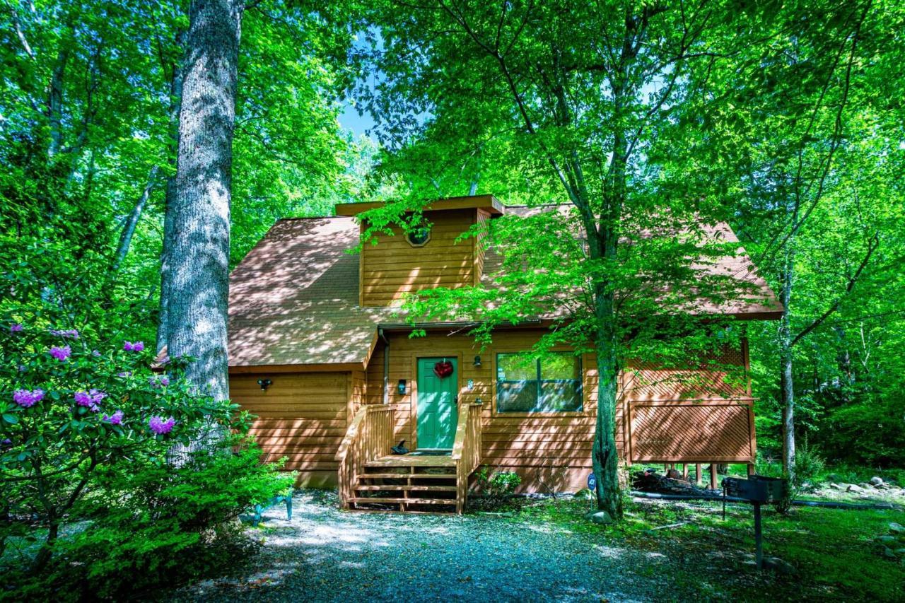 Вилла Bear Footin' On The Creek Гатлинбург Экстерьер фото