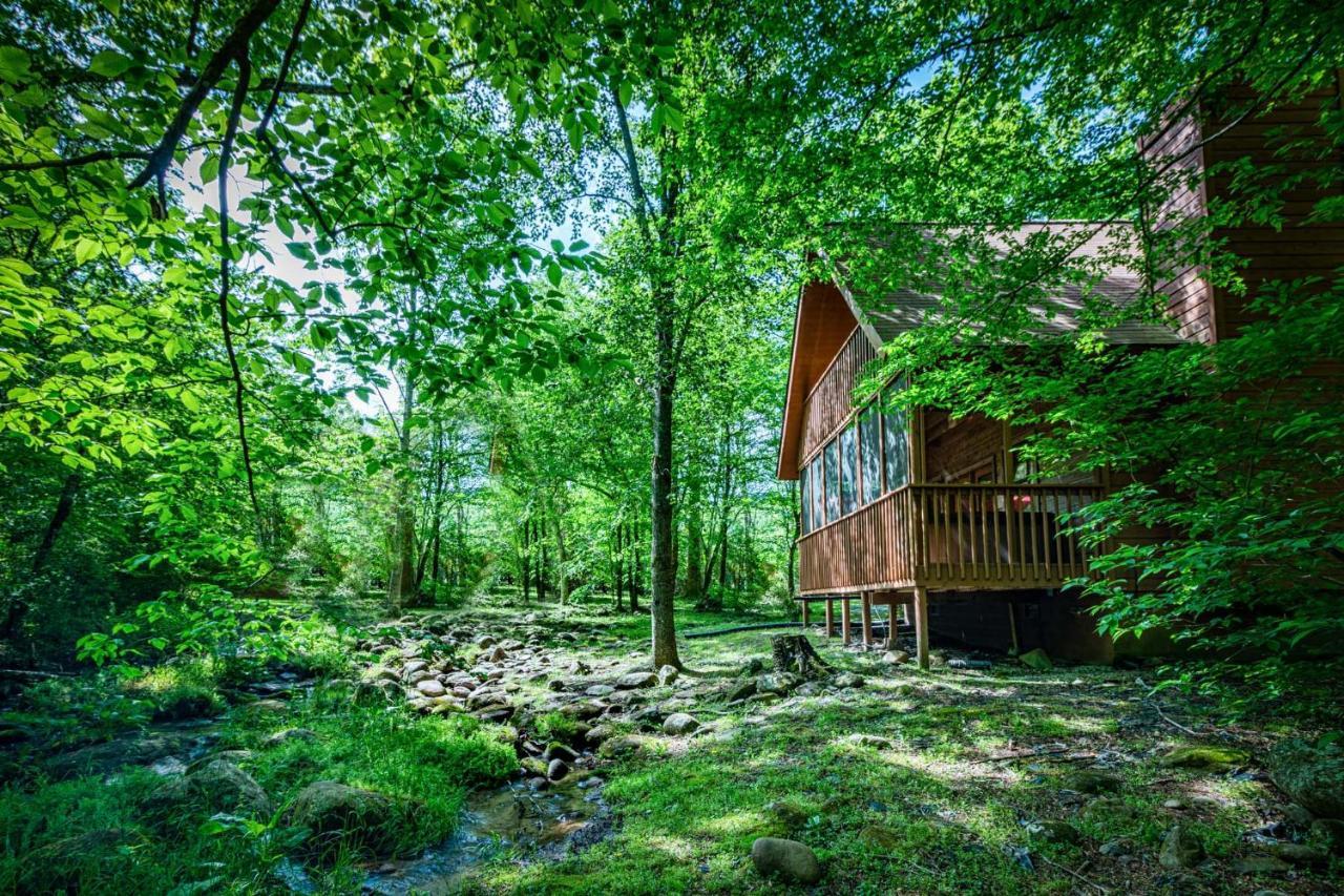 Вилла Bear Footin' On The Creek Гатлинбург Экстерьер фото