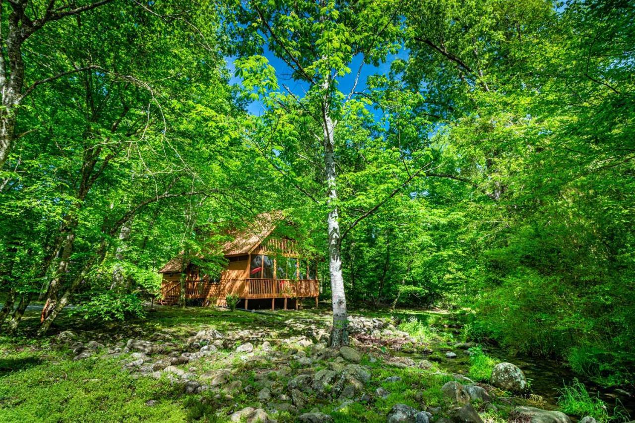 Вилла Bear Footin' On The Creek Гатлинбург Экстерьер фото